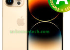 Gold / 256GB / A